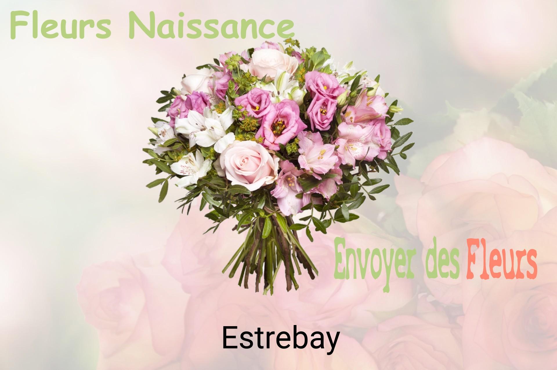 Bouquet de fleurs de naissance livré à Estrebay